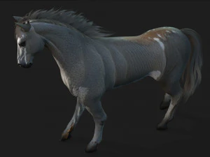 HorseA4 3D Model