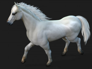 HorseA5 Modello 3D