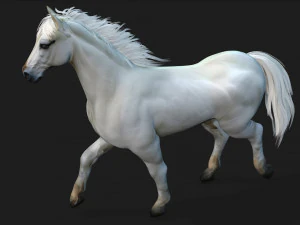 HorseA5 3D Model