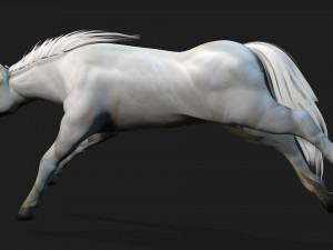 HorseA5 Modello 3D