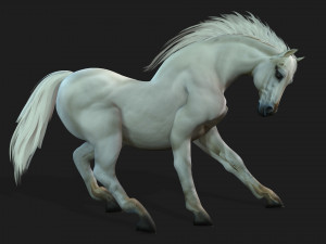 HorseA5 Modello 3D