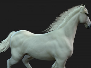 HorseA5 Modello 3D