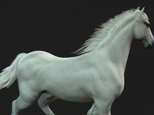 HorseA5 3D Model