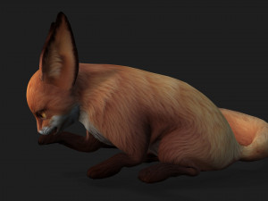 FoxA4 Model 3D