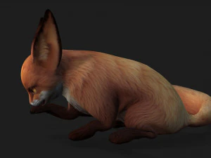 FoxA4 3D Model