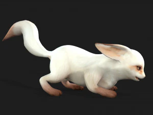 RaposaA5 Modelo 3D