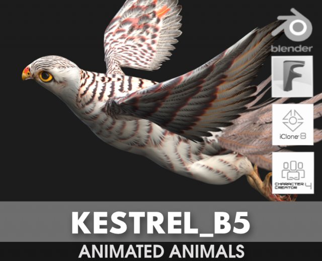 KestrelB5 Modello 3D .c4d .max .obj .3ds .fbx .stl .blend 