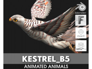 KestrelB5 3D-Modell