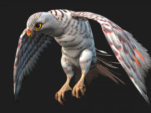 ケストレルB5 3Dモデル