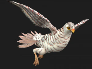 ケストレルB5 3Dモデル