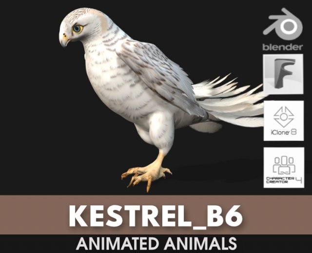 KestrelB6 Modelo 3D .c4d .max .obj .3ds .fbx .stl .blend 