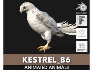 KestrelB6 3D-Modell