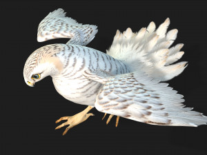 KestrelB6 Modelo 3D