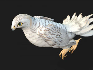 TurmfalkeB6 3D Modell