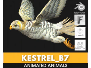 TurmfalkeB7 3D Modell