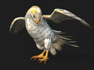 GheppioB7 Modello 3D