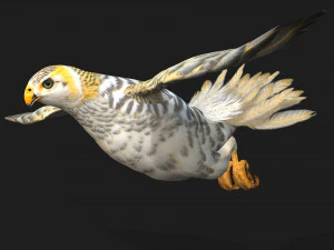 GheppioB7 Modello 3D