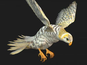 GheppioB7 Modello 3D