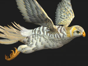 GheppioB7 Modello 3D