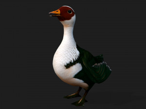 DuckA4 Modelo 3D