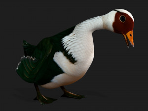 DuckA4 Modelo 3D