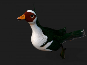 DuckA4 Modelo 3D