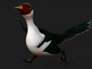 DuckA4 Modelo 3D