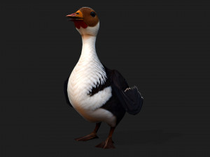 DuckA5 Modelo 3D