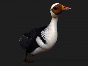 DuckA5 Modelo 3D