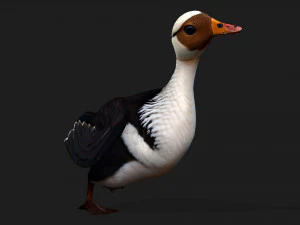 DuckA5 3D Model