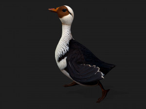 DuckA5 Modelo 3D
