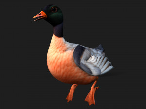 DuckA6 3D Модель