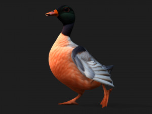 DuckA6 3D Модель