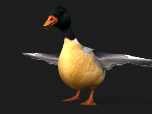 DuckA7 Model 3D