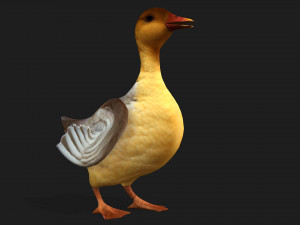 DuckA8 Modelo 3D