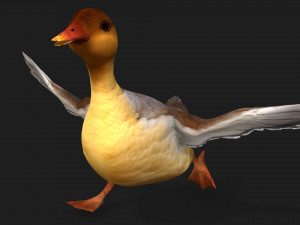 DuckA8 Modelo 3D