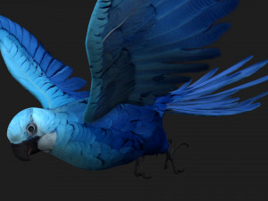 ParrotA4 3D Модель
