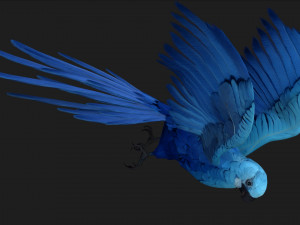 ParrotA4 3D Модель