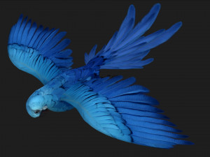 ParrotA4 3D Модель