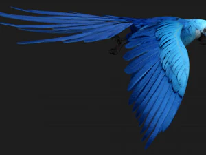 PerroquetA4 Modèle 3D