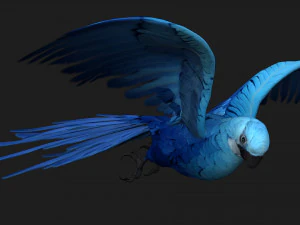 PerroquetA4 Modèle 3D