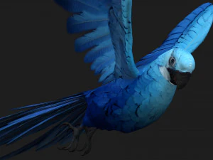 PerroquetA4 Modèle 3D