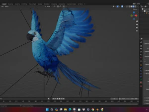 PerroquetA4 Modèle 3D