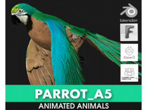 ParrotA5 3D Model