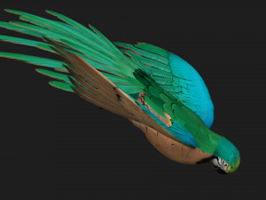 ParrotA5 Modelo 3D