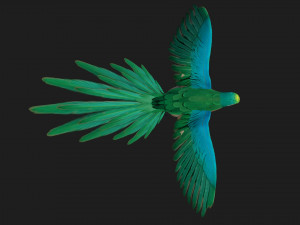 ParrotA5 Modelo 3D