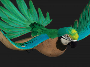 ParrotA5 Modelo 3D