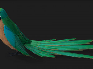 ParrotA5 Modelo 3D