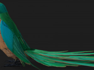 ParrotA5 Modelo 3D