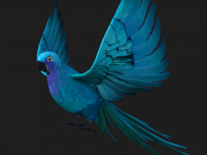 ParrotA6 3D Model
